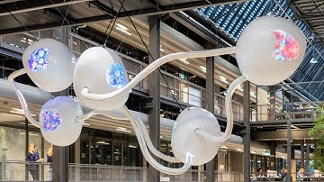 The making of NEURO AUTOMATA