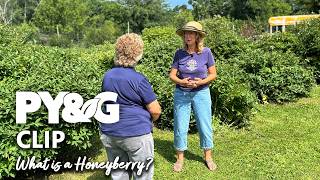 What is a Honeyberry | The Honeyberry Farm | Prairie Yard & Garden Season 39, Episode 6