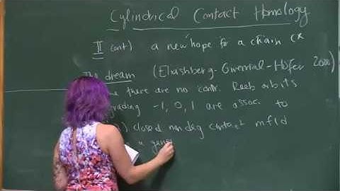 School of Symplectic Topology - Symplectic Field Theory - 02