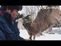 大森山　「雪の動物園」始まる の動画、YouTube動画。