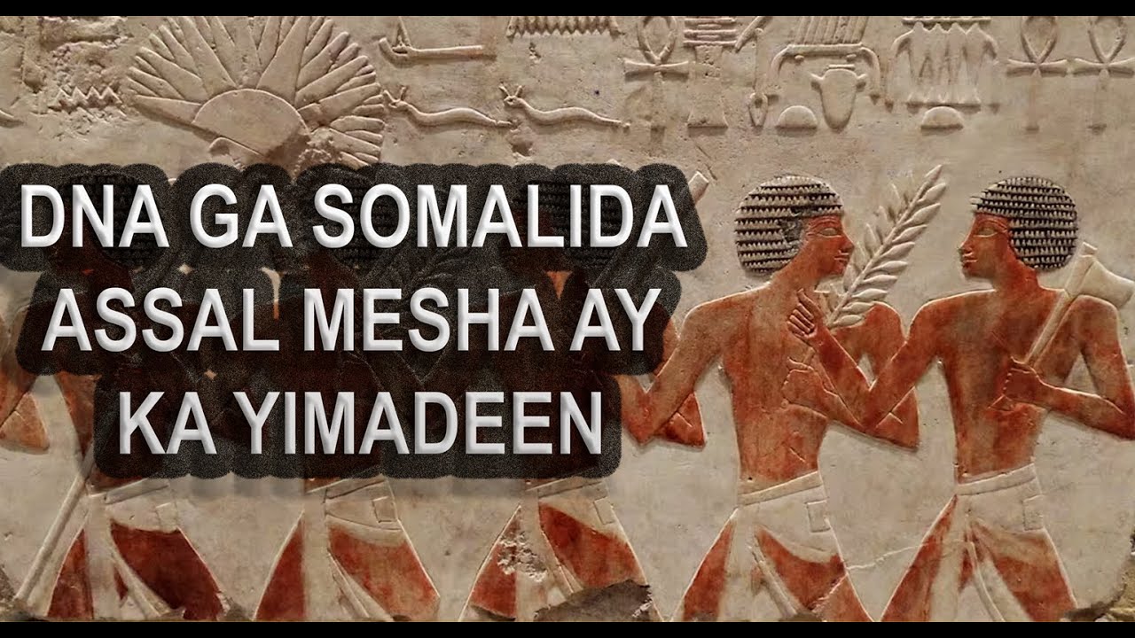 DNA GA SOMALIDA ASSAL MESHA AY KA YIMADEEN
