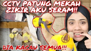 Hiburan - Entertainment