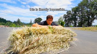 literally LOOKING FOR A NEEDLE in a HAYSTACK