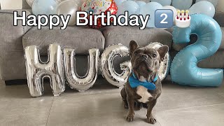 My Dog Is 2  Happy Birthday