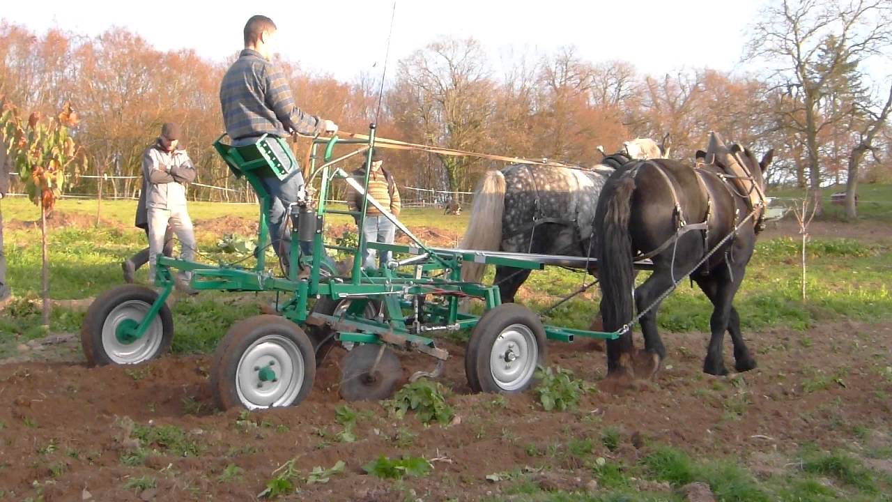 Kombine • Matériel traction animale • Les Jardins d'Illas