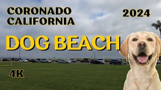 Exploring Coronado Walking: Sunset Park & Dog Beach Tour on an Overcast Day 4K