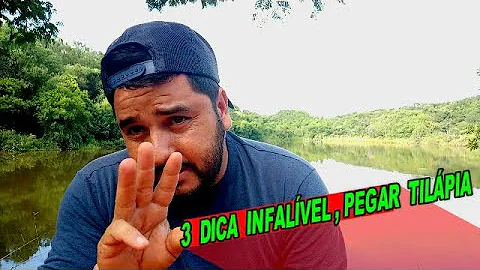 Qual a melhor maneira de pescar tilápia em pesqueiro?