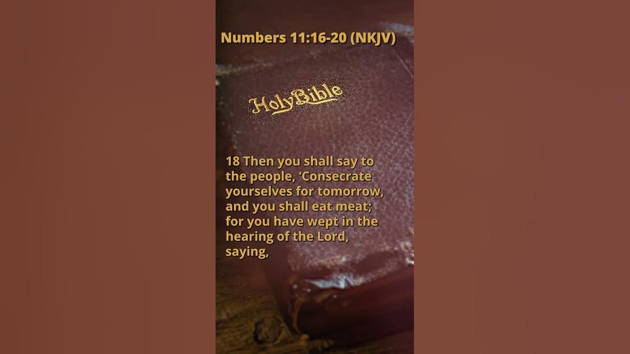 numbers-11-16-20-nkjv-youtube