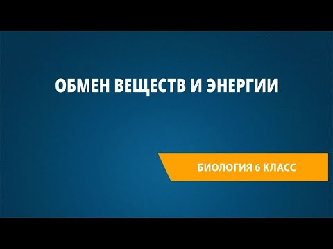 Обмен веществ и энергии