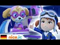 PAW Patrol: Helfer auf vier Pfoten | Welpen retten ein Ass | Nick Jr.