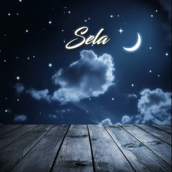 Status wa selamat malam