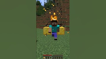 Minecraft Herobrine 💀