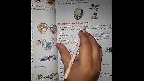 Grade V Ch-13( LR ii) Plants and seeds.