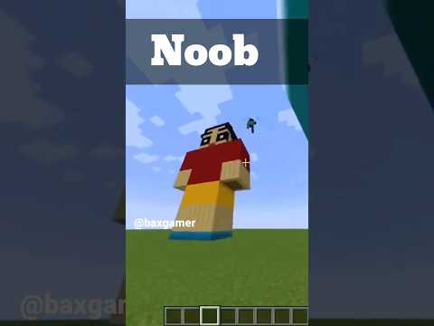 minecraft Noob VS