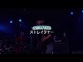 ストレイテナー - Melodic Storm (Live)