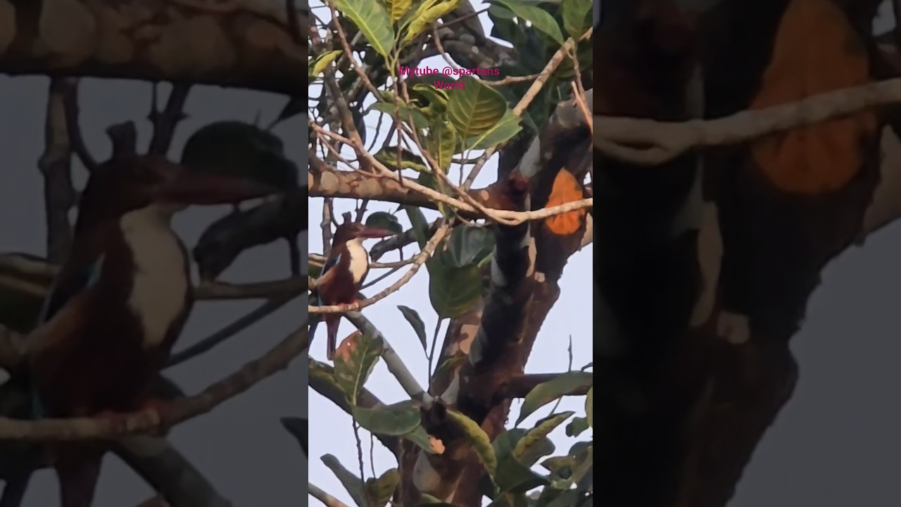 ഇപ്പോഴാണ് ഇത് ok ആയതു 