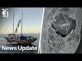 NZ Herald Morning News Update | Israel deports 171 activists and TikTok defends policy