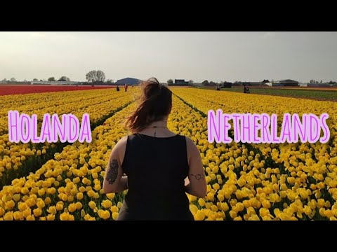 Lugares imprescindibles Holanda~TOP sites in Netherlands  Amsterdam | Zaans Schans | Tulip fields