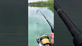 Jeritan Shimano Baithunner 8000D