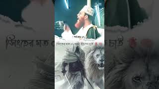 বিড়ালের মত ৫০০ বছর বেঁচে কোন লাভ নাই #shores #reels #waz #islamicvideo