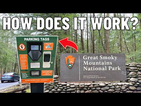 Video: Parco nazionale delle Great Smoky Mountains: la guida completa