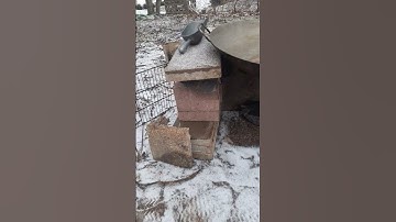 New Backyard Maple Syrup boiling set up!!! Will my GIANT WOK work ???