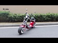 Citycoco chopper electric scooter Rooder r804a with removable battery