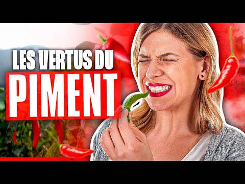 Vidéo: Les piments cuisent-ils leur nourriture ?