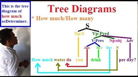Learning English Grammars: Tree Diagrams (Part 4)