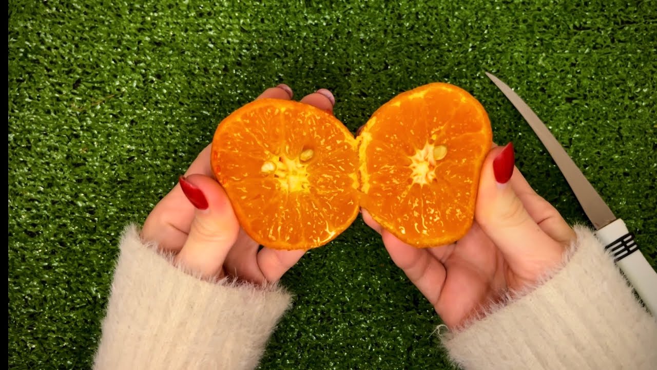 Perfect Fruit Cuts 🍎🔪 