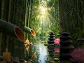 Close Your Eyes &amp; Relax 🌿 Soothing Water Sounds for Stress Relief #shorts