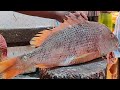 Big Red Snapper, Black Pomfret, &amp; Tilapia Fish Cutting Skills | Fish Cutting Video