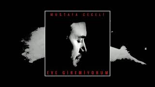 Mustafa Ceceli - Eve Giremiyorum Resimi