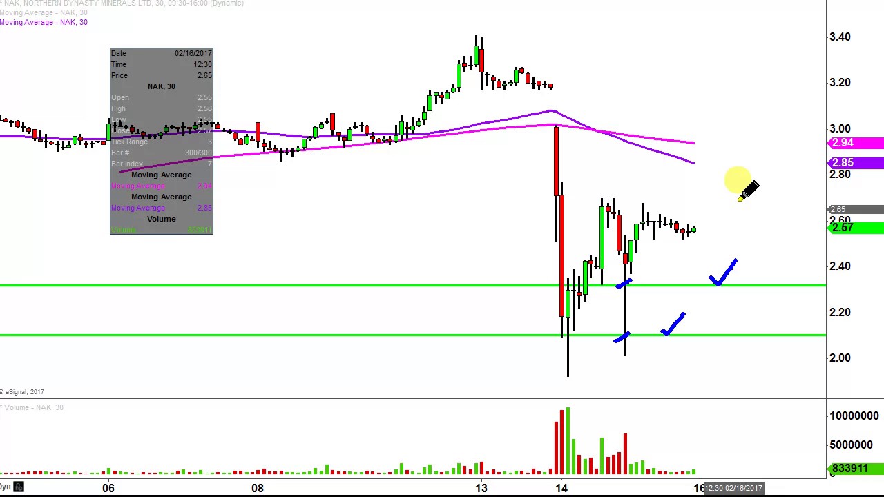 northern dynasty minerals ltd nak stock chart technical northern dynasty stock chart