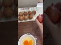 で柴子を養子にする 🔗 iconixstore.com/japan