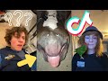 Tik Tok Memes That Are Basically Vine | Daily Memes