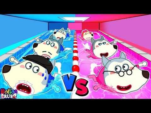 Гонки на воде: Pink против Blue — Кто быстрее? | Семейное шоу Wolfoo | Wolfoo Russian