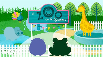 Babyradio - Vamos al zoo: la rana y el búho