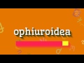 How to say "ophiuroidea"! (High Quality Voices)