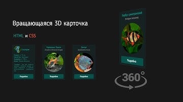 Карточки с 3D эффектом переворачивания | Верстка HTML CSS