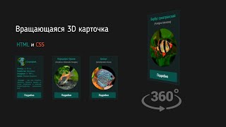 Карточки с 3D эффектом переворачивания | Верстка HTML CSS