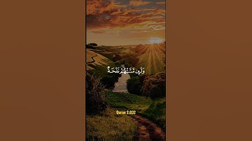 تلاوة مباركة بصوت جميل #اكسبلور #quran #islamicprayer #القران_الكريم