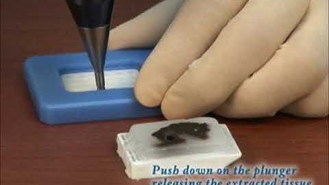 Manual TMA with recipient block mold kit