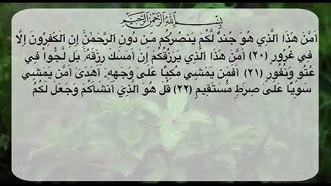 سورة الملك ( 20 ـ 27 )