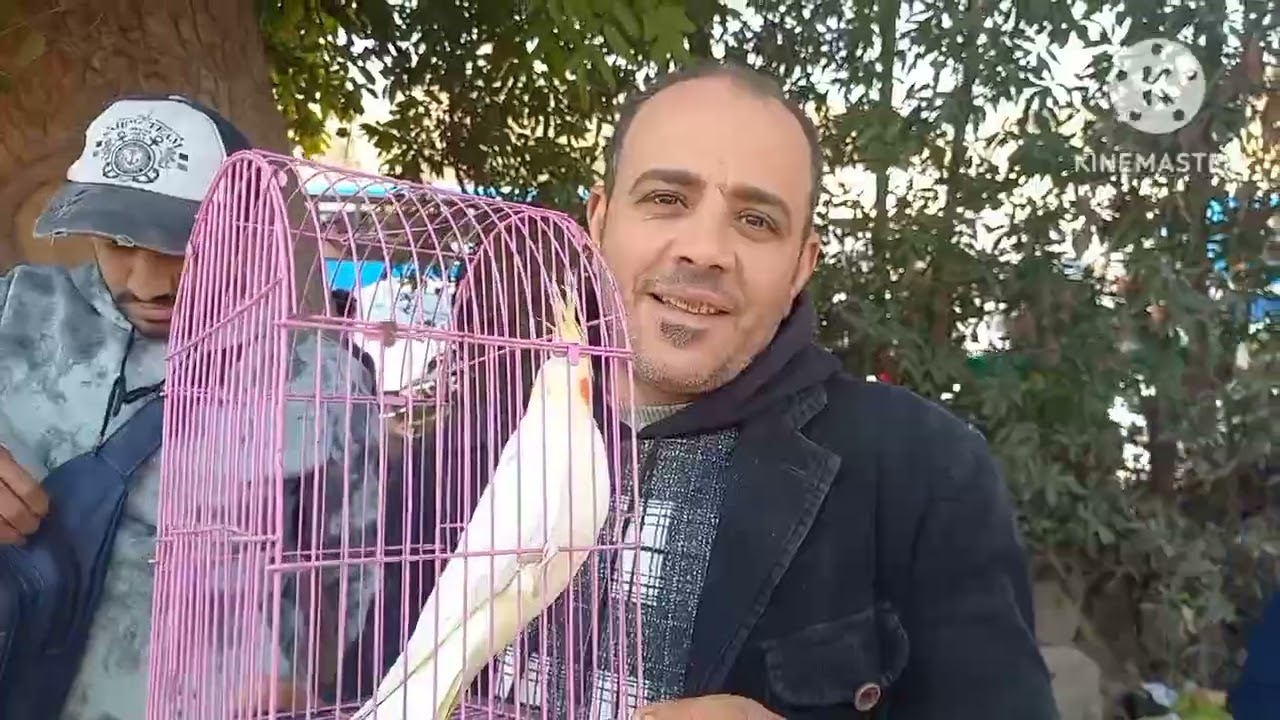 رابع فيديو من سوق الجمعة الناس اشترت عصافير ايه وبكام⁉️وأسعار العصافير بأرقام اصحابها من داخل السوق💚