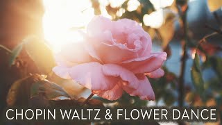 Flower Dance  (Timelapse)  &  Chopin Waltz (C Sharp Minor Op  64 No  2)