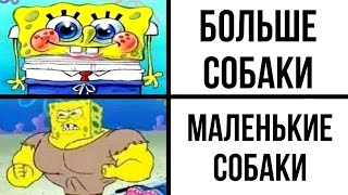 картинка: Свежие Мемы От Кабанчика 104 | Озвучка Мемов