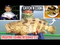 Grouper Fishing at Bedok Jetty | Catch and Cook | Fishing in Singapore