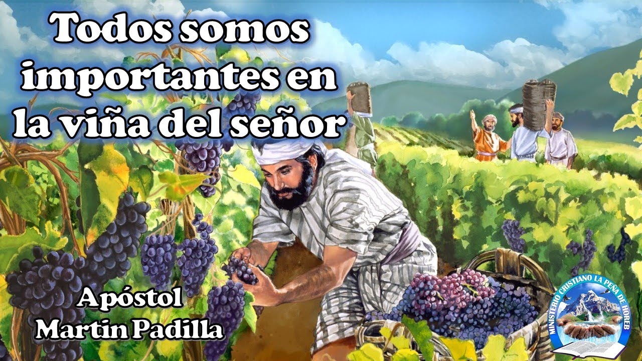 Todos somos importantes en la viña del Señor||Apóstol Martín Padilla