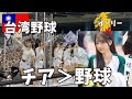 台湾プロ野球をバックネット裏で観戦！チアの存在感がスゴかった…